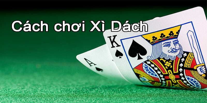 Hướng dẫn quy trình chơi bài Xì dách chi tiết cho hội viên mới