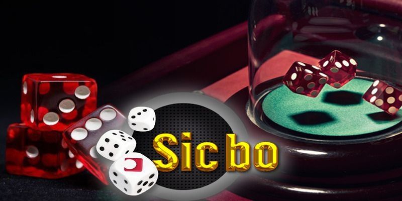Bật mí kinh nghiệm chơi Sicbo thắng lớn cho Newbie