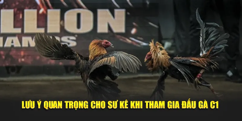 Lưu ý quan trọng cho sư kê khi tham gia đá gà C1