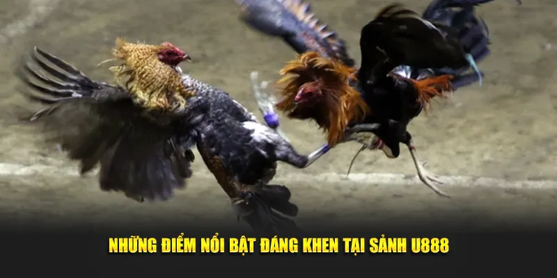 Những điểm nổi bật đáng khen tại sảnh U888