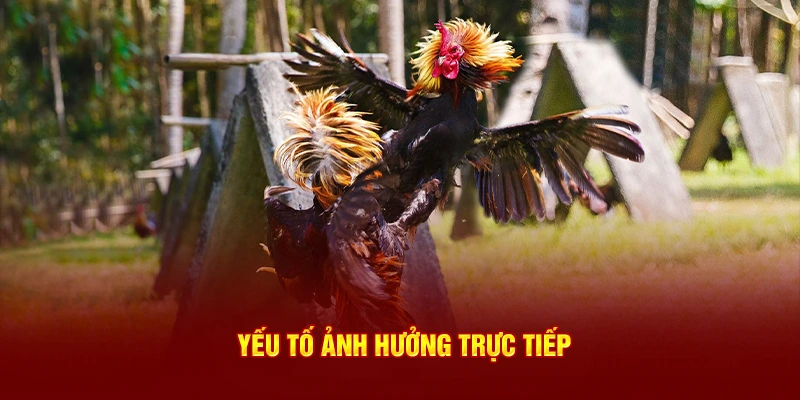 Yếu tố ảnh hưởng trực tiếp
